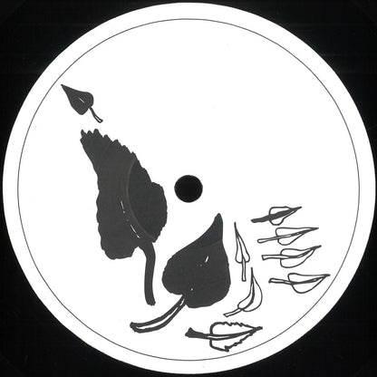 Stefan Vincent - Phyllotaxis (VINYL 12" Artisjok Records AR007) | NEW Mint (M) Mint (M)-