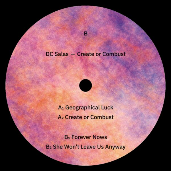 DC Salas - Create or Combust (VINYL) | Mint (M) Mint (M)-