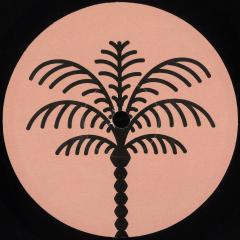 Chavi - Unreleased Data EP (VINYL) | Mint (M) Mint (M)-