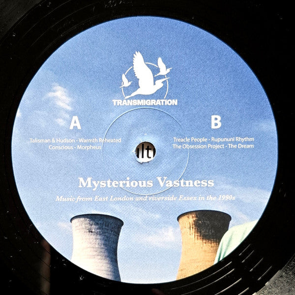 Jane Fitz - Mysterious Vastness (2xVINYL) |-