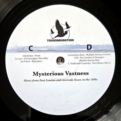 Jane Fitz - Mysterious Vastness (2xVINYL) |-