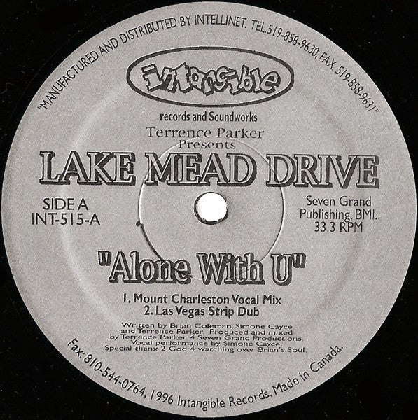 Terrence Parker - Alone With U (VINYL) | Near Mint (NM) Generic-
