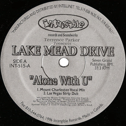 Terrence Parker - Alone With U (VINYL) | Near Mint (NM) Generic-