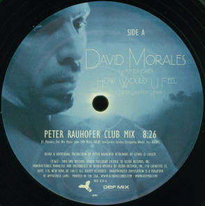David Morales - How Would U Feel (The Peter Rauhofer Remixes) (12" VINYL) | Near Mint (NM) Near Mint (NM)-