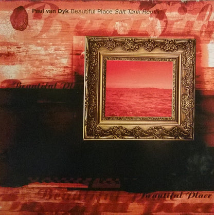 Paul van Dyk - Beautiful Place (Salt Tank Remix) | Near Mint (NM) Excellent (EX)-
