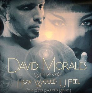 David Morales - How Would U Feel (The Peter Rauhofer Remixes) (12" VINYL) | Near Mint (NM) Near Mint (NM)-
