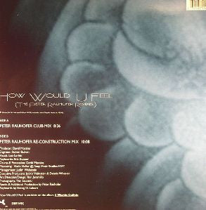 David Morales - How Would U Feel (The Peter Rauhofer Remixes) (12" VINYL) | Near Mint (NM) Near Mint (NM)-