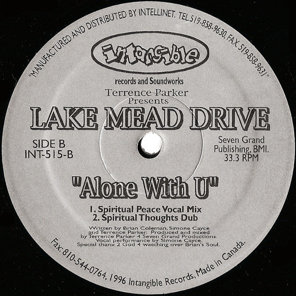 Terrence Parker - Alone With U (VINYL) | Near Mint (NM) Generic-