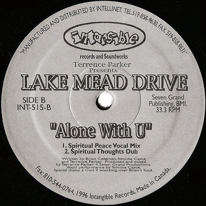 Terrence Parker - Alone With U (VINYL) | Near Mint (NM) Generic-