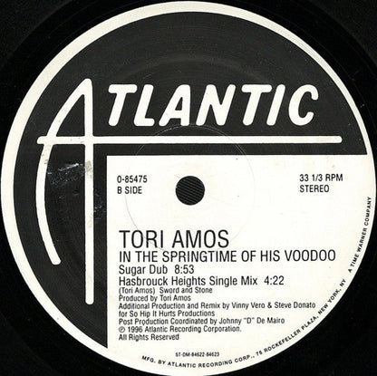 Tori Amos - In The Springtime Of His Voodoo (VINYL) | Near Mint (NM) Excellent (EX)-