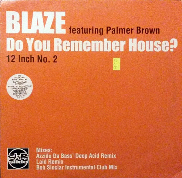 Blaze Foley - Do You Remember House? (Part 2) | Near Mint (NM) Near Mint (NM)-