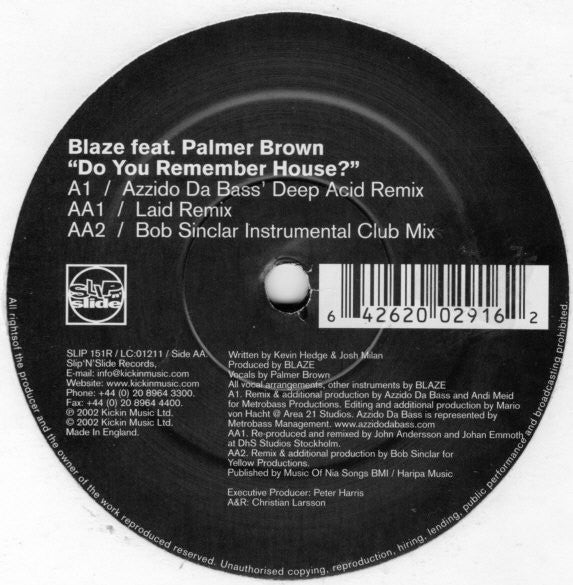 Blaze Foley - Do You Remember House? (Part 2) | Near Mint (NM) Near Mint (NM)-