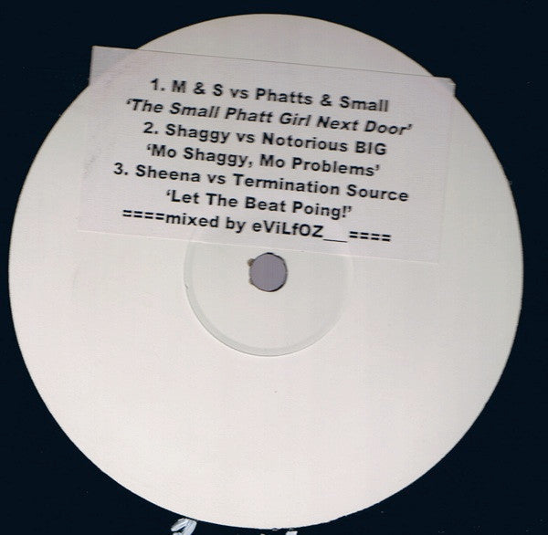 eVilfoz - The Small Phatt Girl Next Door / Mo Shaggy, Mo Problems / Let The Beat Poing! | Very Good Plus (VG+) Generic-