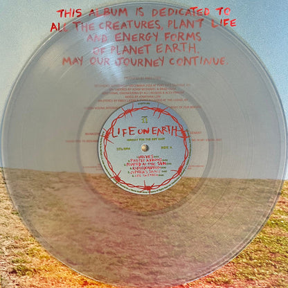 Hurray For The Riff Raff - Life On Earth | Mint (M) Mint (M)-