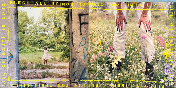 Hurray For The Riff Raff - Life On Earth | Mint (M) Mint (M)-