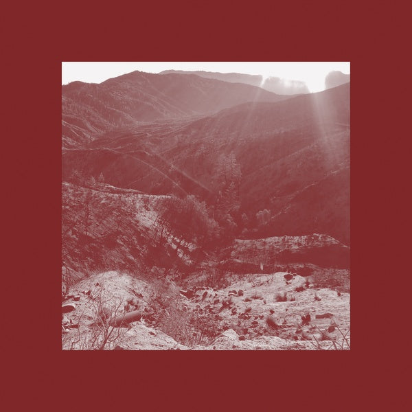 IAN WELLMAN - On The Darkest Day, You Took My Hand And Swore It Will Be Okay |-