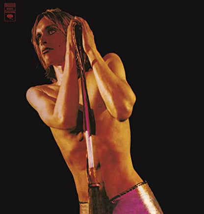Iggy And The Stooges - Raw Power (2LP Remaster) | Mint (M) Mint (M)-
