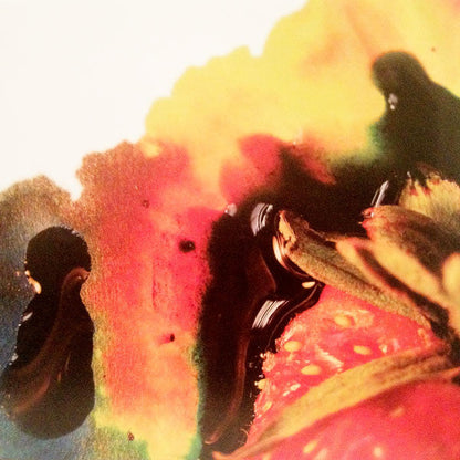 Animal Collective - Strawberry Jam | Mint (M) Mint (M)-
