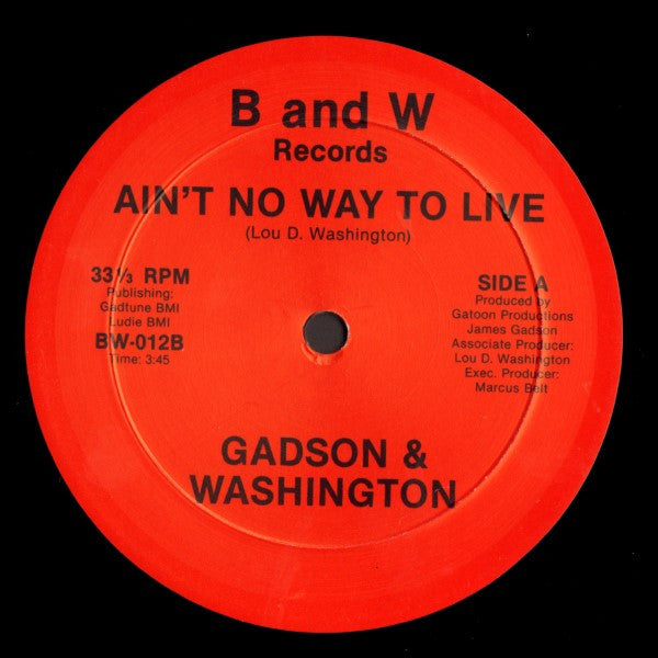 James Gadson & Lou Washington / Lou Washington - Ain't No Way To Live / Indian Village | Mint (M) Generic-