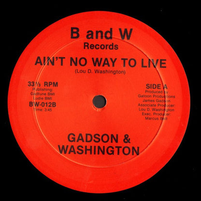 James Gadson & Lou Washington / Lou Washington - Ain't No Way To Live / Indian Village | Mint (M) Generic-