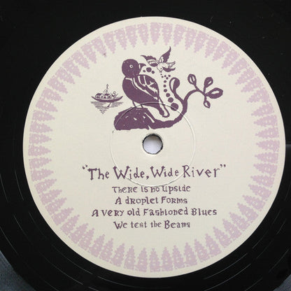 James Yorkston & The Second Hand Orchestra - The Wide, Wide River (VINYL LP 2021) | Mint (M) Mint (M)-
