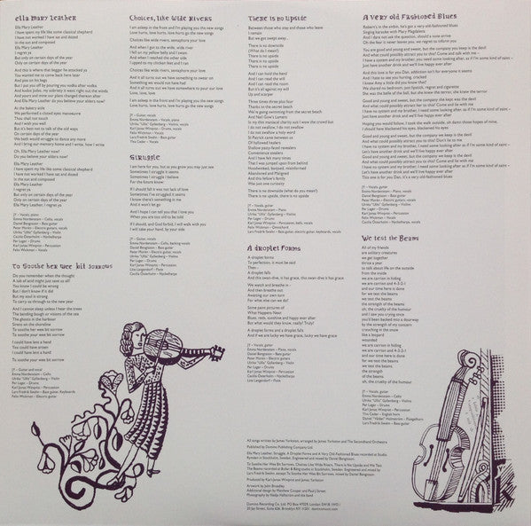 James Yorkston & The Second Hand Orchestra - The Wide, Wide River (VINYL LP 2021) | Mint (M) Mint (M)-
