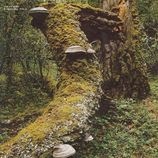 Jan Jelinek - Kosmischer Pitch (VINYL) |-