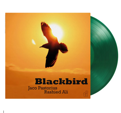 Jaco Pastorius & Rashied Ali - (PRESALE 7/24/26) Blackbird (MOV 180G 50TH ANN LMTD TRANSLUCENT GREEN VINYL) | Mint (M) Mint (M)-