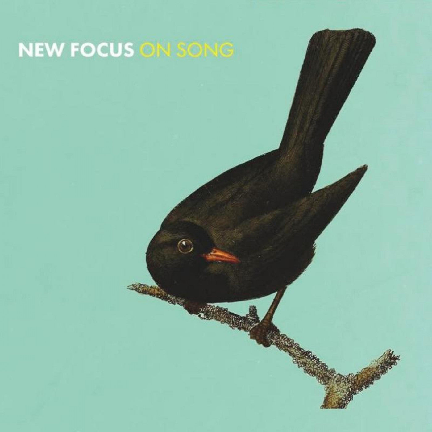 Stevenson, Euan & Wiszniewski, Konrad - New Focus On Song (CD) | Mint (M) Mint (M)-