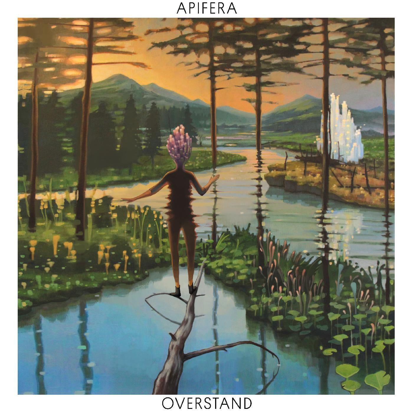 Apifera - Overstand |-