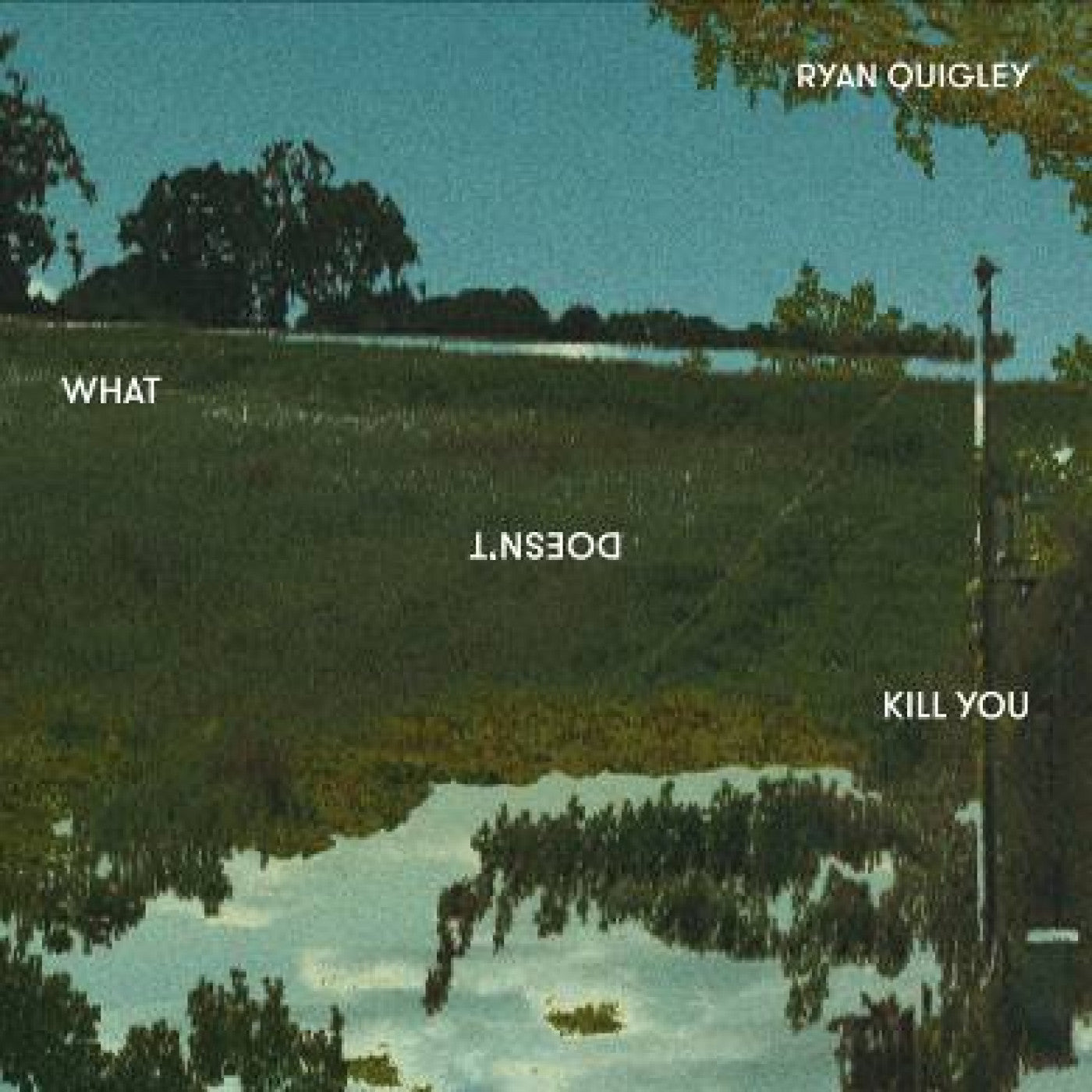 Quigley, Ryan - What Doesn't Kill You (CD) | Mint (M) Mint (M)-