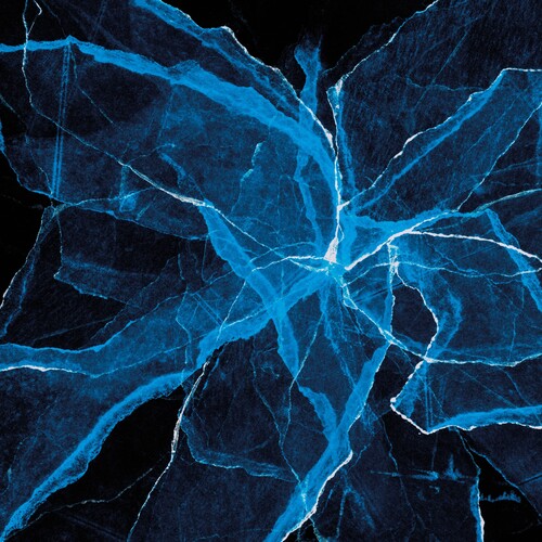 Jason Moran - Shards (CLEAR VINYL) | Mint (M) Mint (M)-