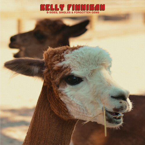 Kelly Finnigan - (PRESALE 8/14/26) B-Sides, Singles & Forgotten Gems (VINYL LP COLEMINE 2026) | NEW-
