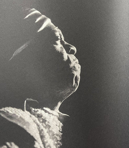 Sun Ra - Live In Roma 1980 | Mint (M) Mint (M)-