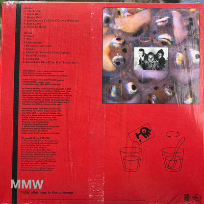 Medeski Martin & Wood - Friday Afternoon In The Universe | Mint (M) Mint (M)-