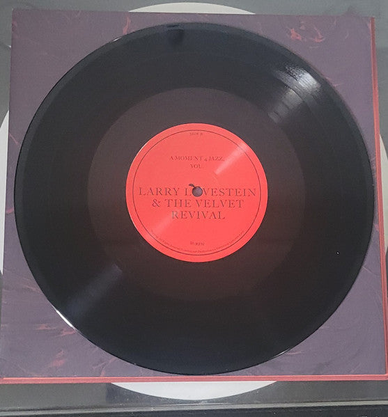 Larry Lovestein & The Velvet Revival - You (10" VINYL) | Mint (M) Mint (M)-