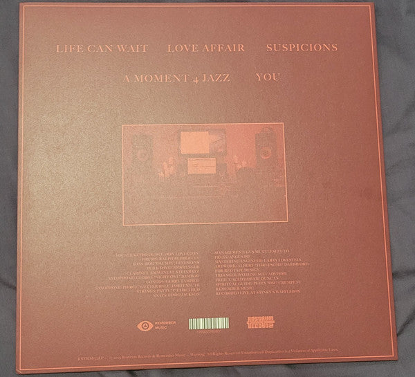 Larry Lovestein & The Velvet Revival - You (10" VINYL) | Mint (M) Mint (M)-