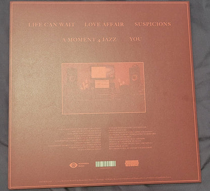 Larry Lovestein & The Velvet Revival - You (10" VINYL) | Mint (M) Mint (M)-