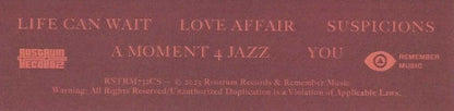Larry Lovestein & The Velvet Revival - You (UNOFFICIAL CASSETTE) |-