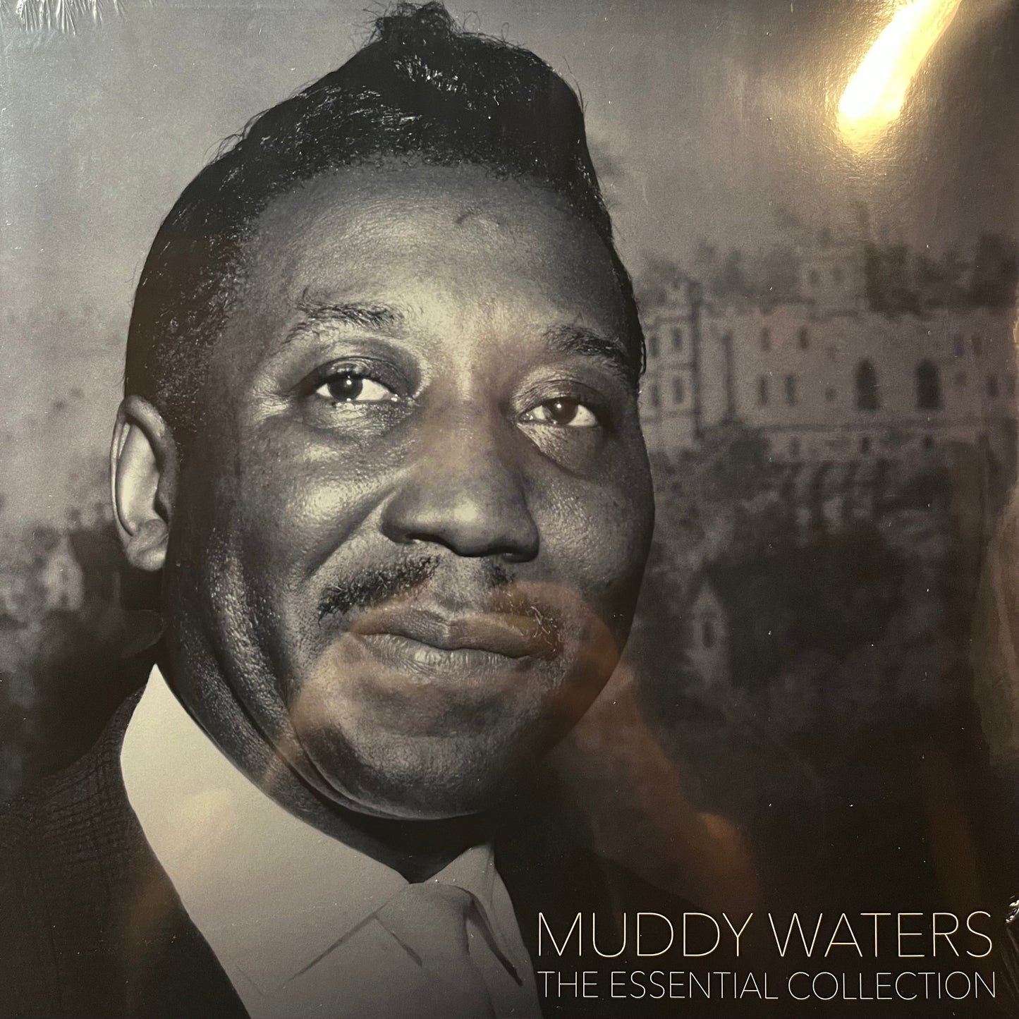 Muddy Waters - The Essential Collection (VINYL) |-