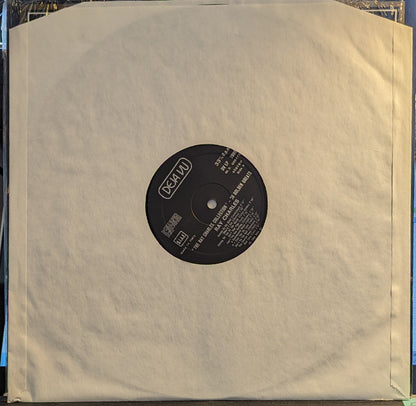 Ray Charles - The Ray Charles Collection - 20 Golden Greats *ITALIAN PRESS* | Excellent (EX) Near Mint (NM)-
