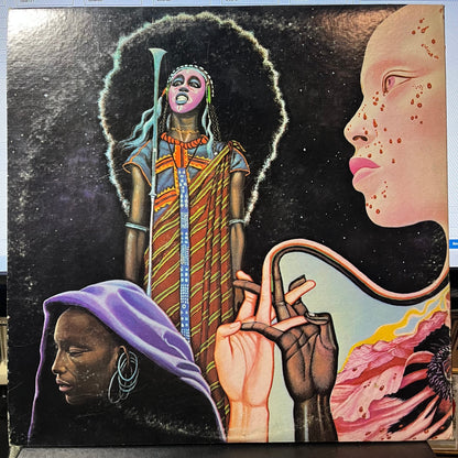 Miles Davis - Bitches Brew (2xVINYL) | Excellent (EX)-