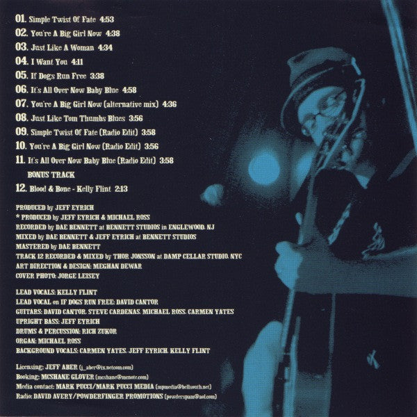 Dave's True Story - Simple Twist Of Fate (CD) | Near Mint- (NM-) Near Mint- (NM-)-