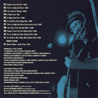 Dave's True Story - Simple Twist Of Fate (CD) | Near Mint- (NM-) Near Mint- (NM-)-