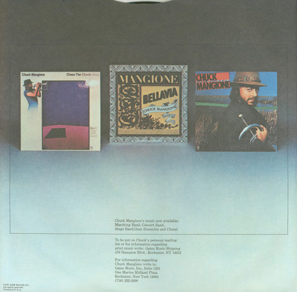 Chuck Mangione - Feels So Good (VINYL) | Near Mint (NM) Excellent (EX)-
