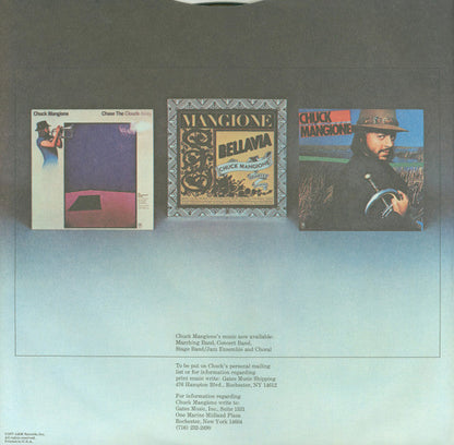 Chuck Mangione - Feels So Good (VINYL) | Near Mint (NM) Excellent (EX)-