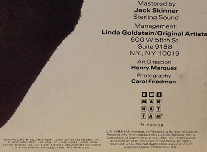 Bobby McFerrin - Simple Pleasures | Near Mint (NM) Near Mint (NM)-