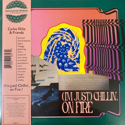 Carlos Niño & Friends - (I'm just) Chillin', on Fire (2LP) | Mint (M) Mint (M)-