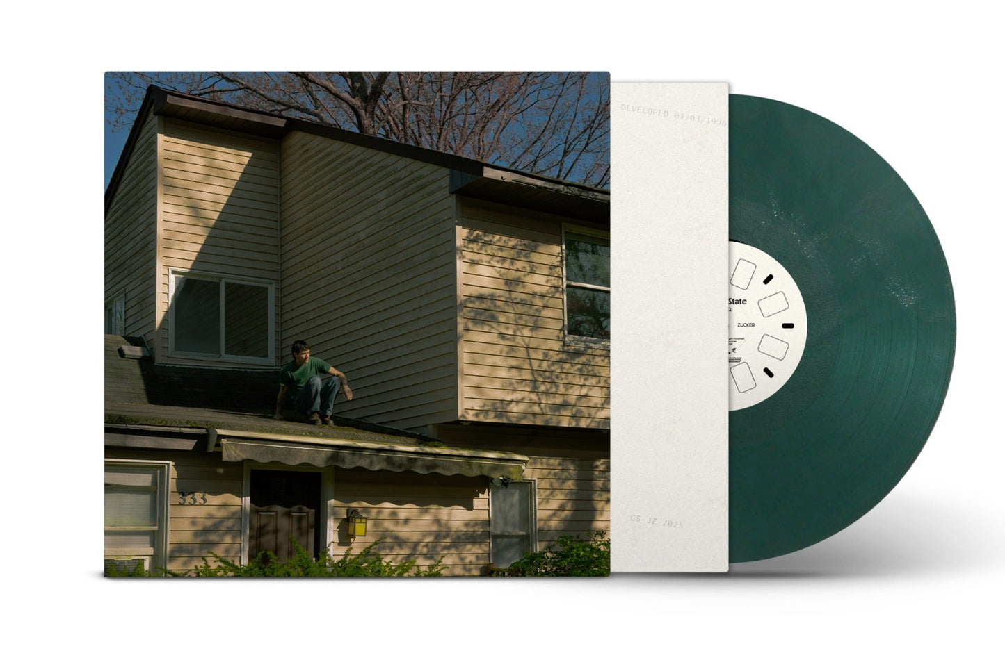 Jeremy Zucker - Garden State (Indie Exclusive) (Garden State Green Vinyl) | Mint (M) Mint (M)-