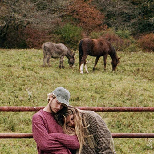 Jeremy Zucker/Chelsea Cutler - brent ii [LP] | Mint (M) Mint (M)-